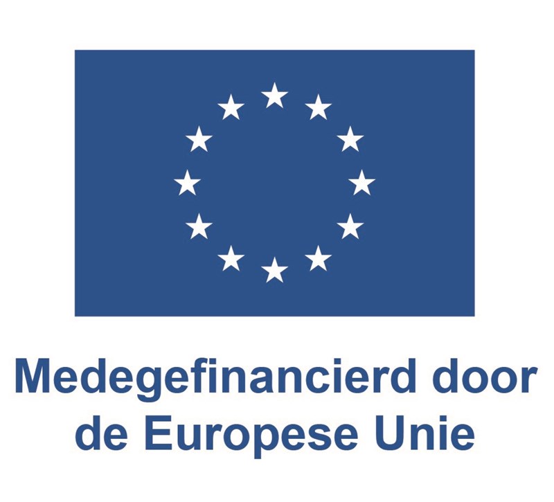 Beeldmerk: Medegefinancierd door de Europese Unie